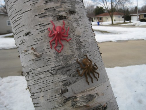Pair of paper birch tree octopi